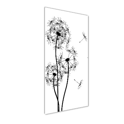 Photo printed on glass dandelions