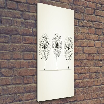 Glass picture wall art dandelions