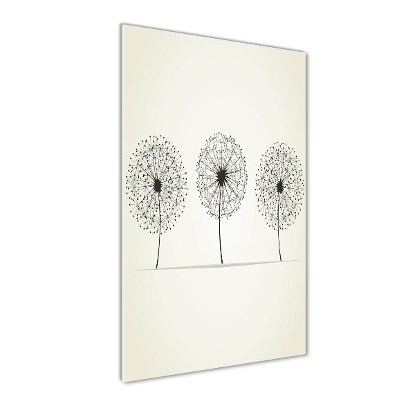 Glass picture wall art dandelions