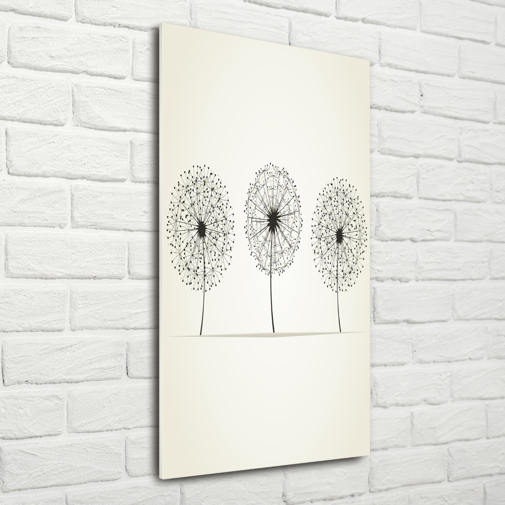 Glass picture wall art dandelions