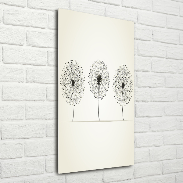 Glass picture wall art dandelions