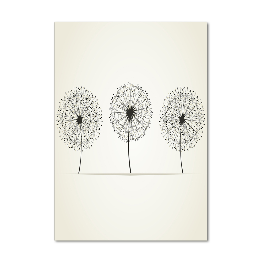 Glass picture wall art dandelions