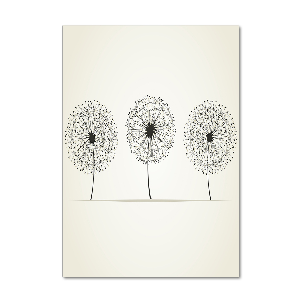 Glass picture wall art dandelions