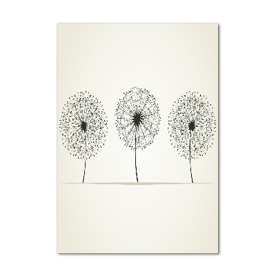 Glass picture wall art dandelions