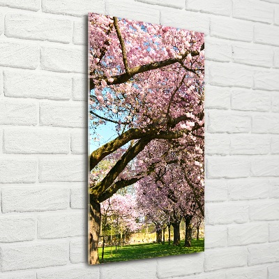 Print on a a glass Cherry trees