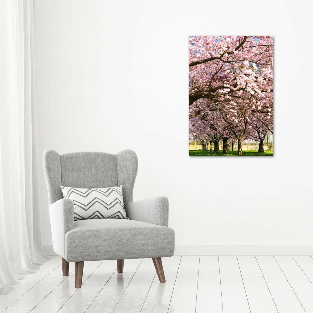 Print on a a glass Cherry trees