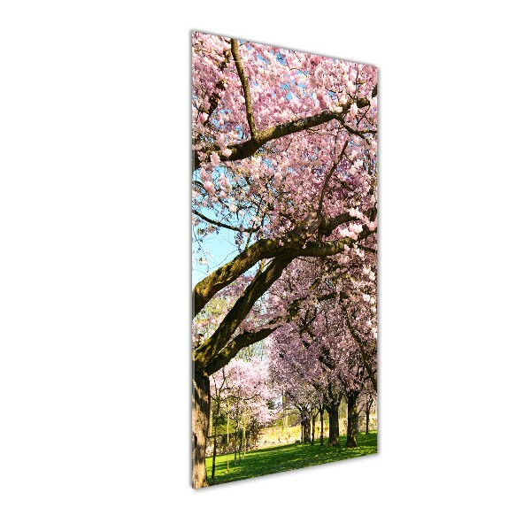 Print on a a glass Cherry trees