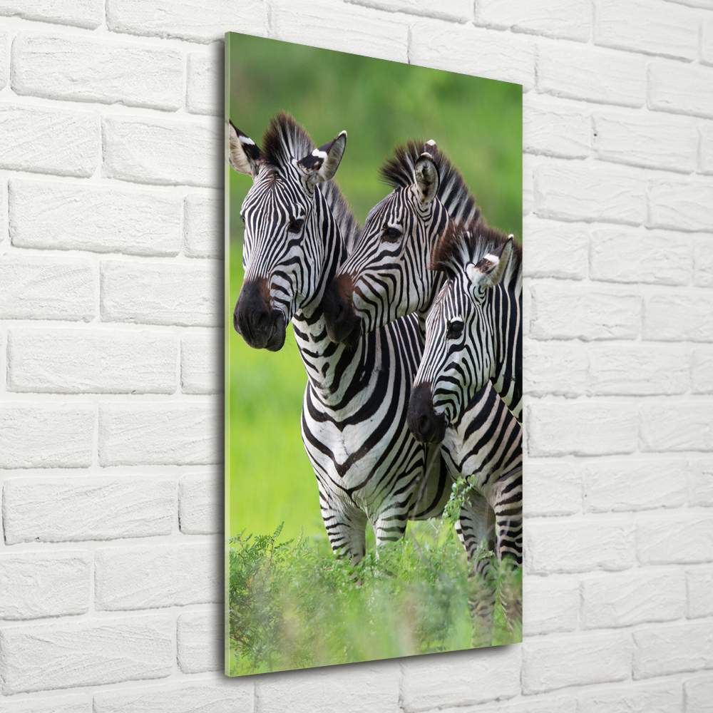 Print on a a glass Three zebras