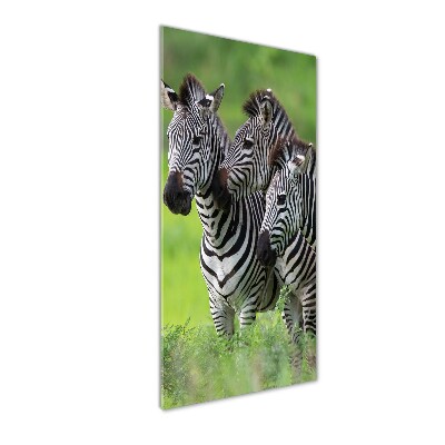 Print on a a glass Three zebras