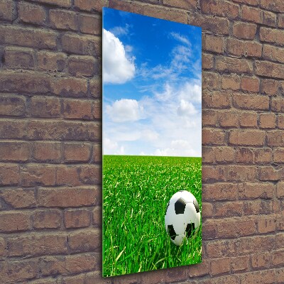 Glass wall art Football in the meadow