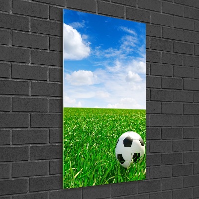 Glass wall art Football in the meadow