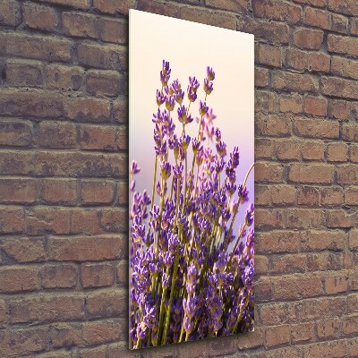 Glass picture wall art Lavender