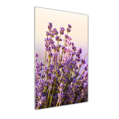 Glass picture wall art Lavender