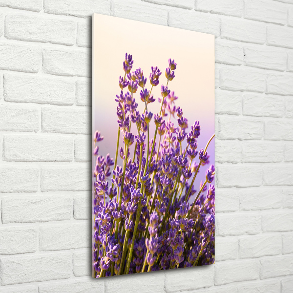 Glass picture wall art Lavender