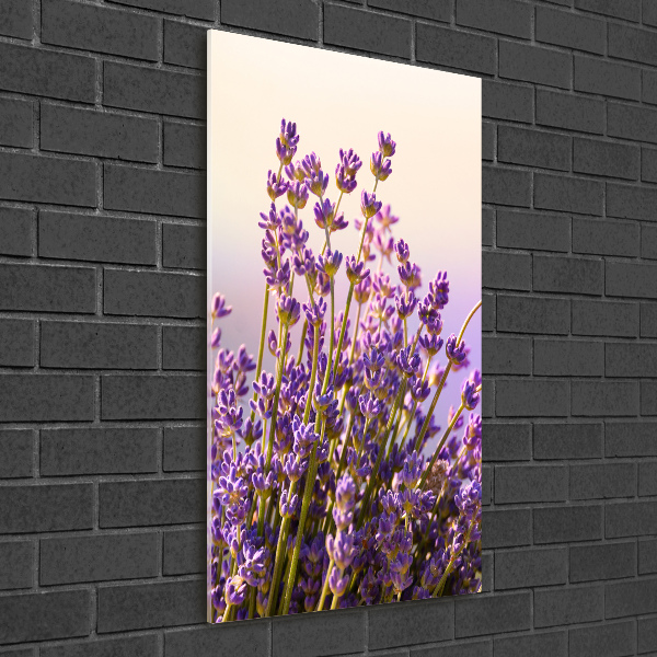 Glass picture wall art Lavender