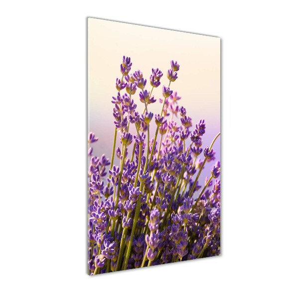 Glass picture wall art Lavender