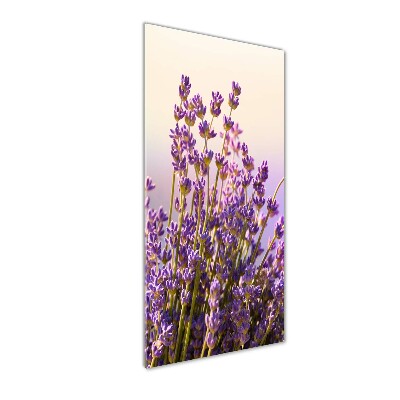 Glass picture wall art Lavender