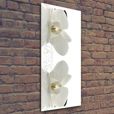 Photo printed on glass Orchid and stones