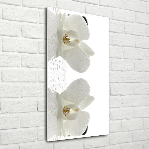 Photo printed on glass Orchid and stones