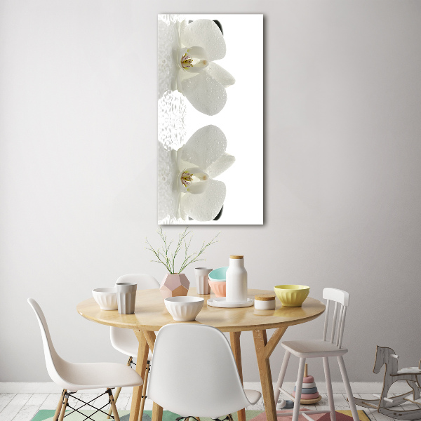 Photo printed on glass Orchid and stones