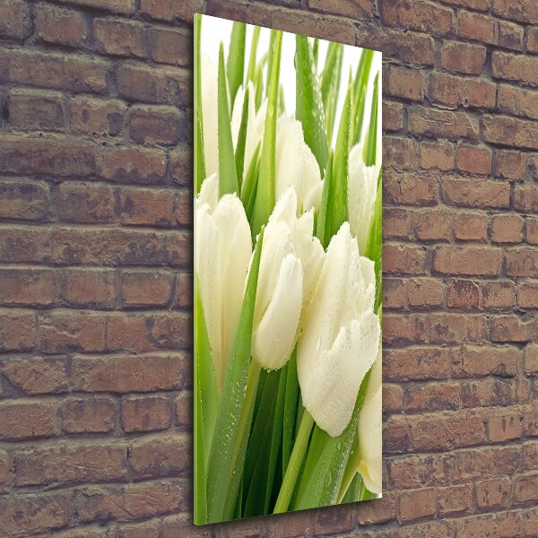 Photo printed on glass White tulips