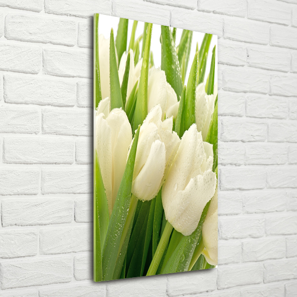 Photo printed on glass White tulips