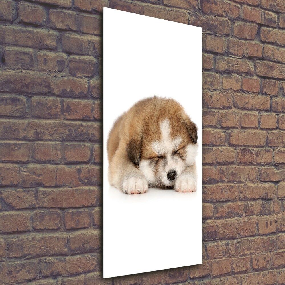 Glass art picture Akita puppy