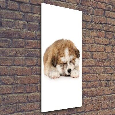 Glass art picture Akita puppy