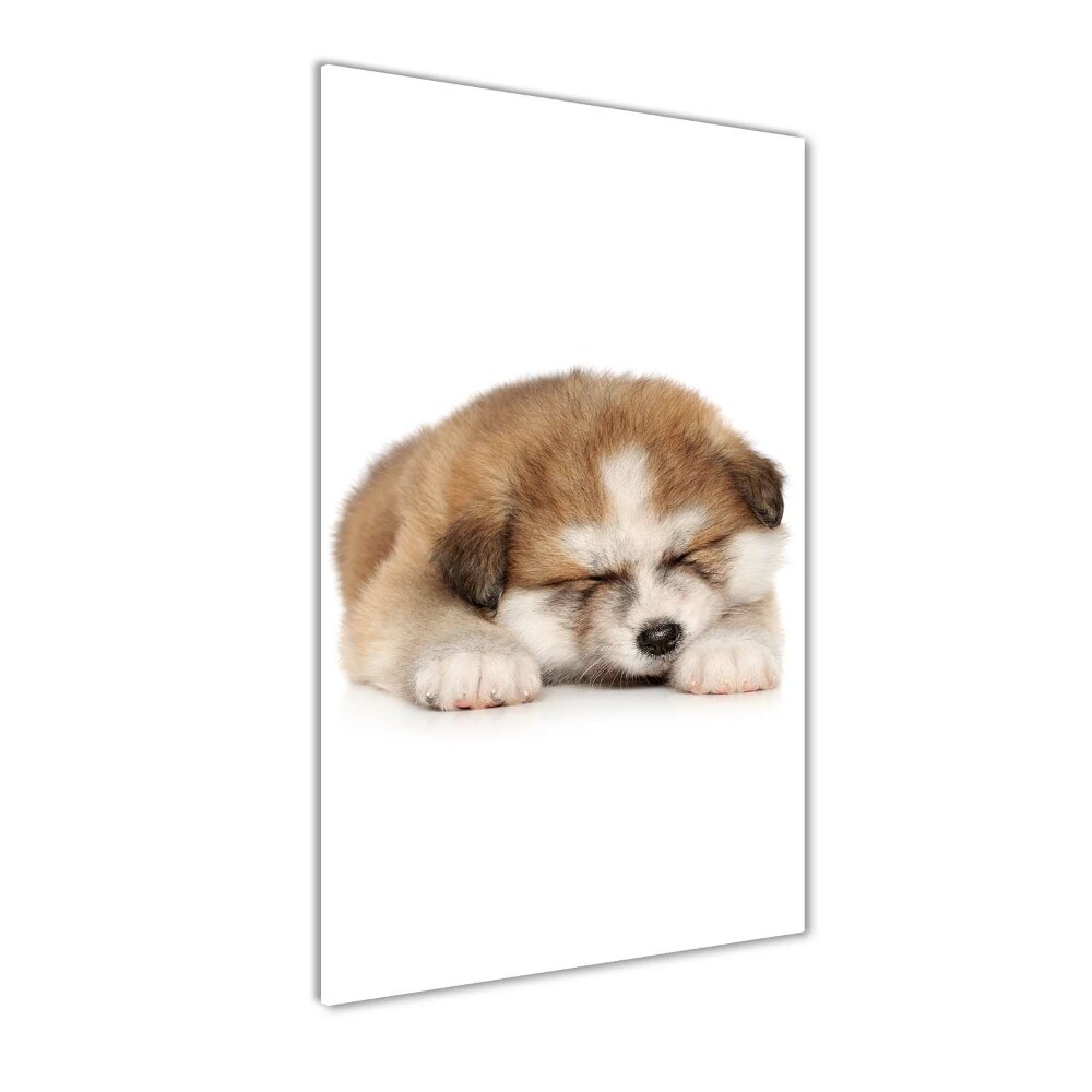 Glass art picture Akita puppy