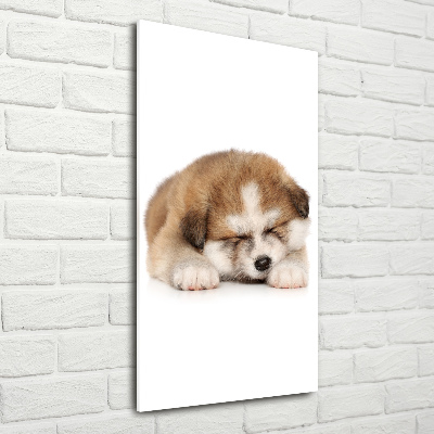 Glass art picture Akita puppy