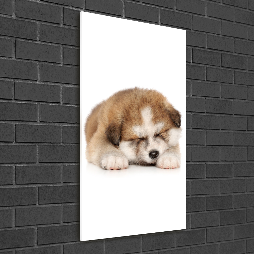 Glass art picture Akita puppy