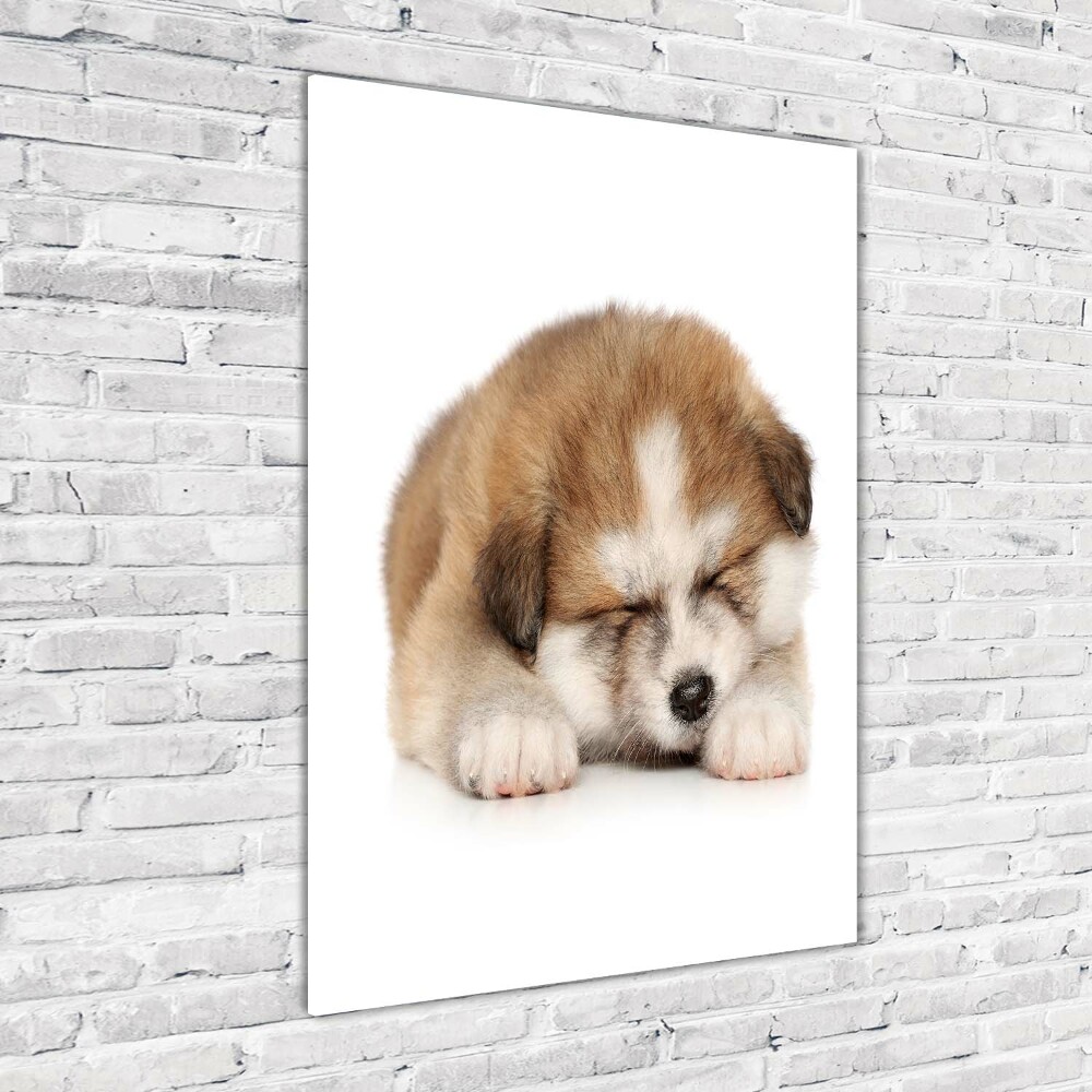 Glass art picture Akita puppy