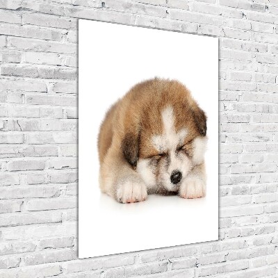 Glass art picture Akita puppy