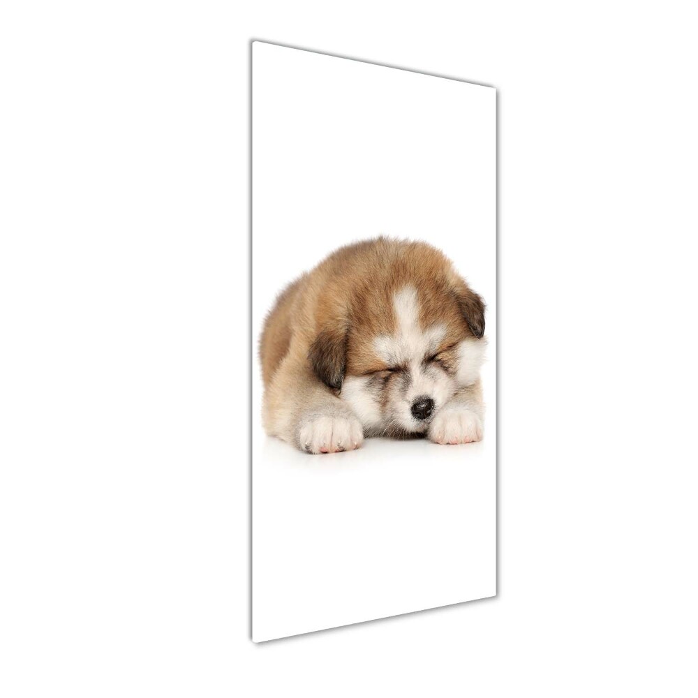 Glass art picture Akita puppy