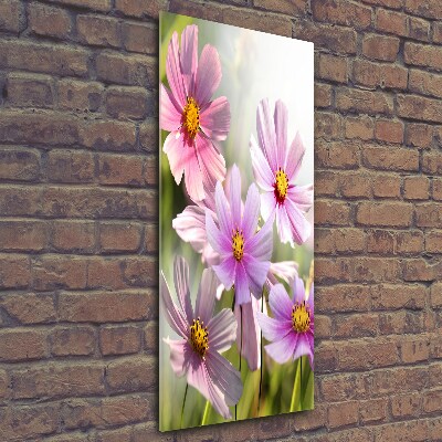 Photo printed on glass Field flowers