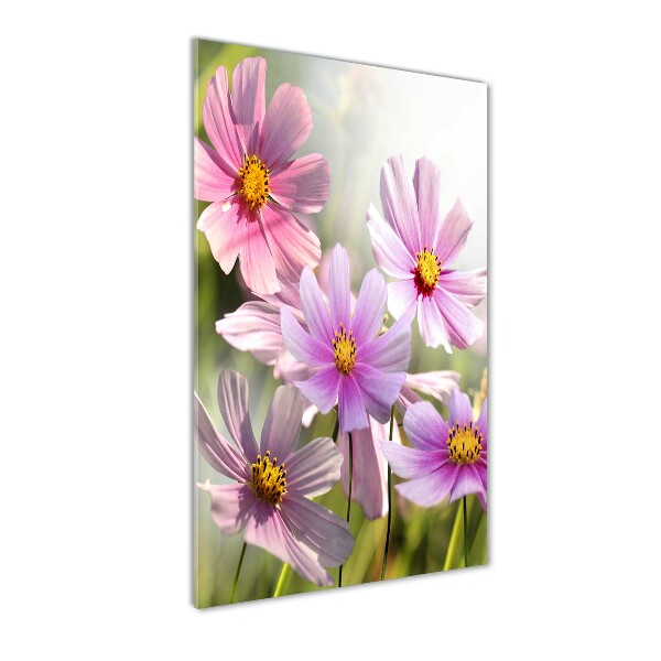 Photo printed on glass Field flowers