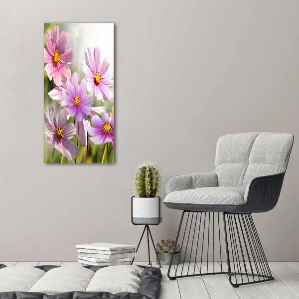 Photo printed on glass Field flowers