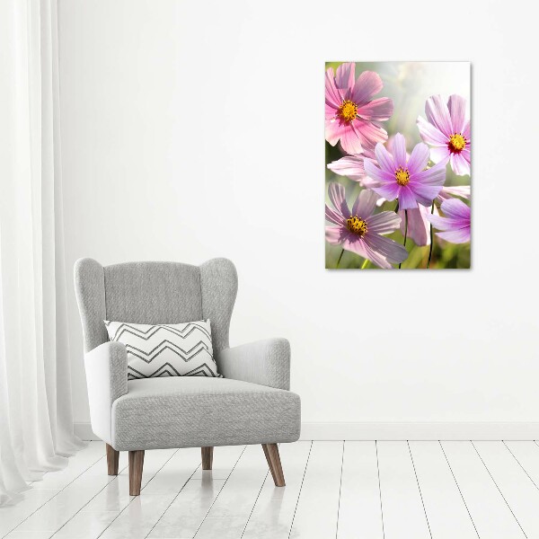 Photo printed on glass Field flowers