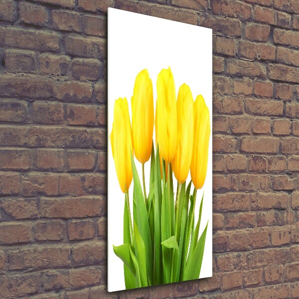 Photo printed on glass Yellow tulips