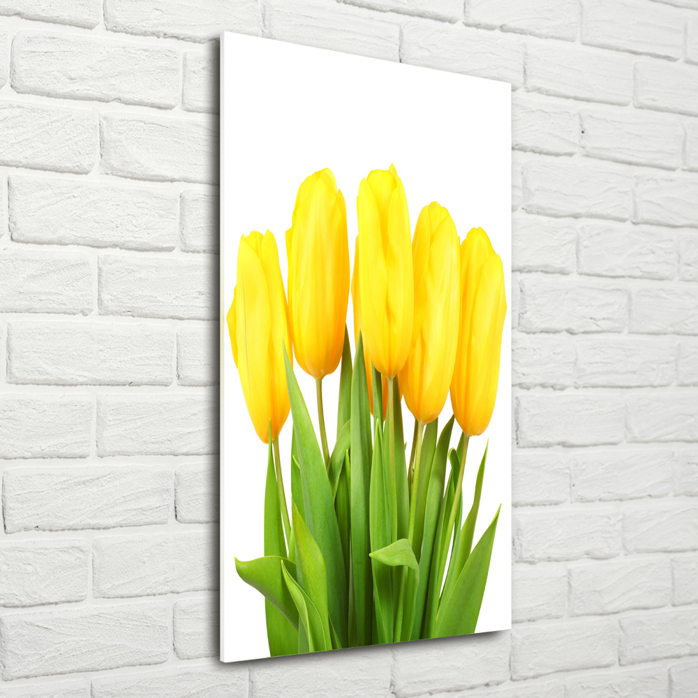 Photo printed on glass Yellow tulips