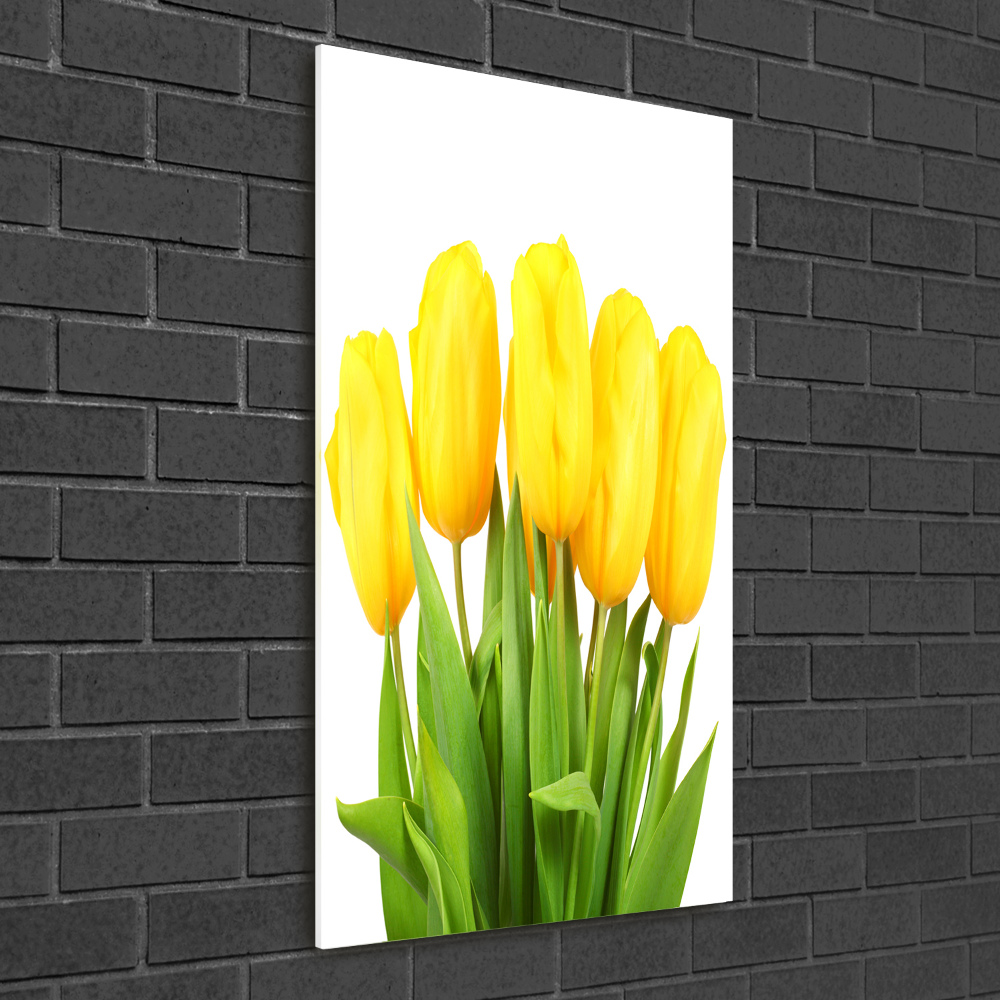 Photo printed on glass Yellow tulips