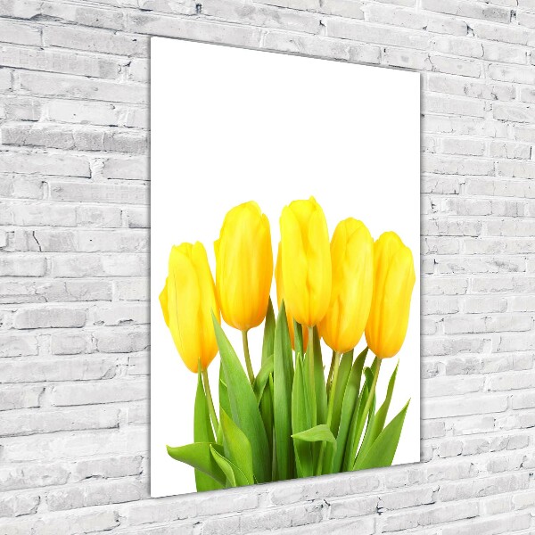 Photo printed on glass Yellow tulips