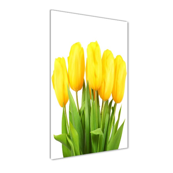 Photo printed on glass Yellow tulips