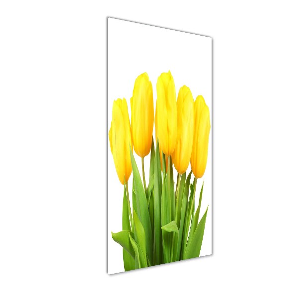 Photo printed on glass Yellow tulips