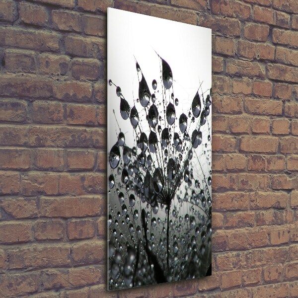 Printed glass wall art Dandelion seeds