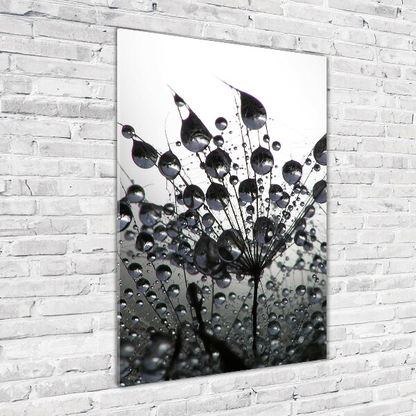 Printed glass wall art Dandelion seeds