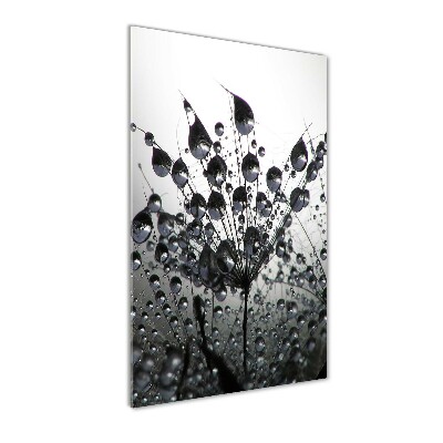 Printed glass wall art Dandelion seeds