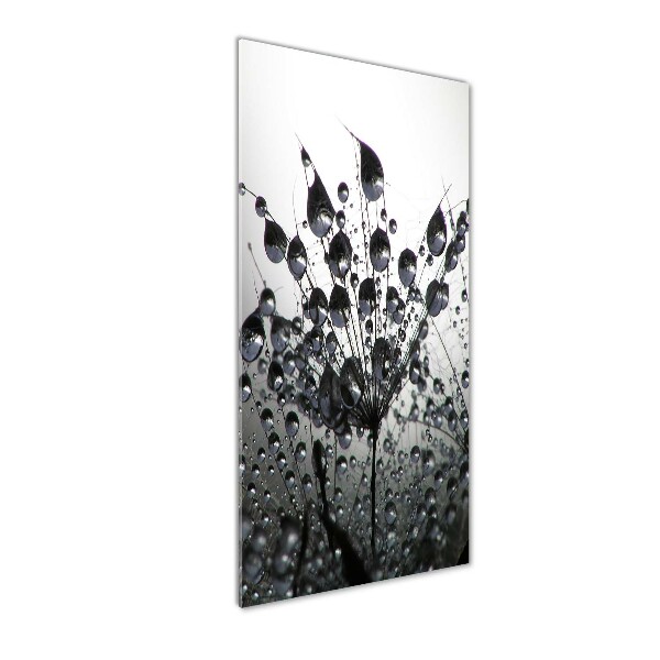 Printed glass wall art Dandelion seeds