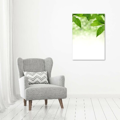 Printed glass wall art Green leaves