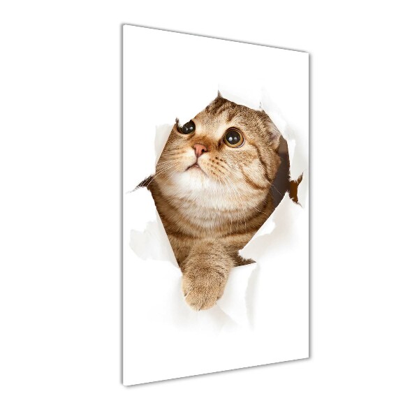 Photo printed on glass Cat